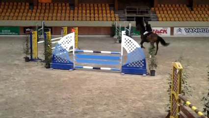 ZAIRA V jument de 11 ans petite fille de PILOT premier INDOOR 1m15