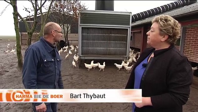 Het Weer: Harma bie de boer [7-12-2015] - RTV Noord