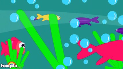 12345 Once I Caught A Fish Alive | Nursery Rhymes | Top Nursery Rhymes For Babies by Hoopl