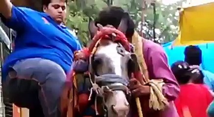 The Fat boy can't ride the Horse