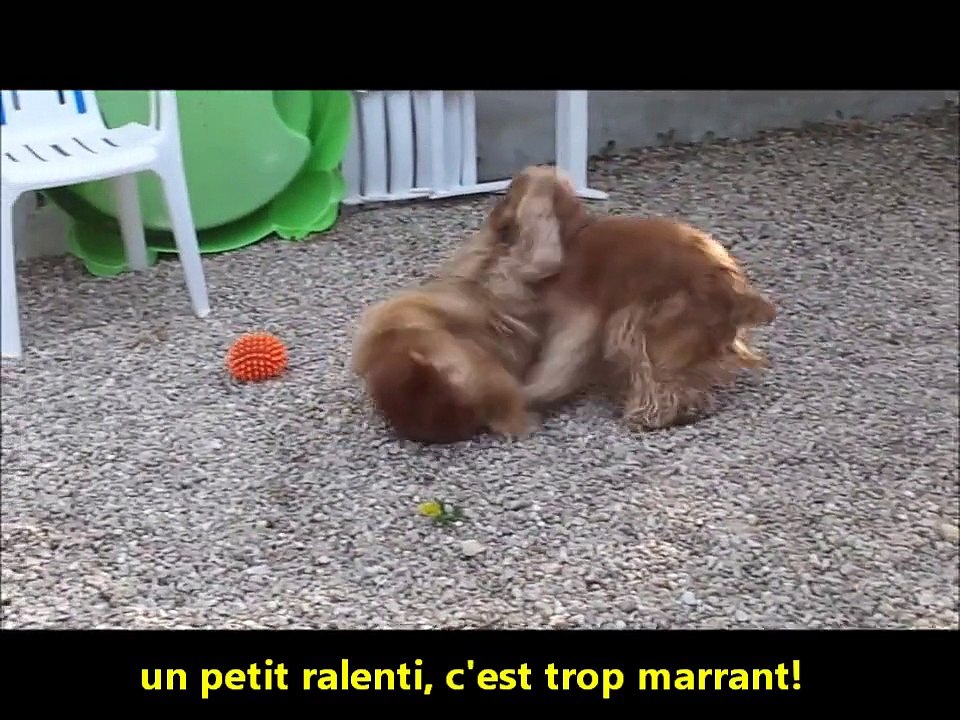 Elfie et Didou en plein jeux