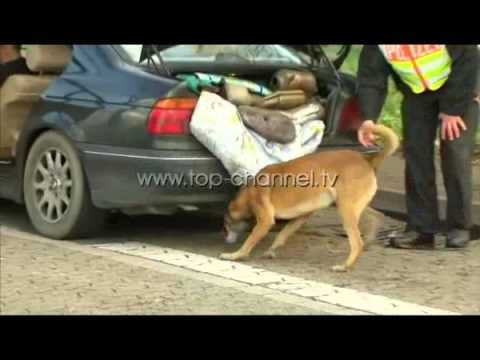 Brukseli, në gjendje alarmi deri të mërkurën - Top Channel Albania - News - Lajme