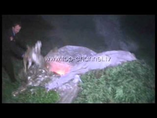 Lushnje, asgjësohen mbi 12 mijë rrënjë kanabis - Top Channel Albania - News - Lajme