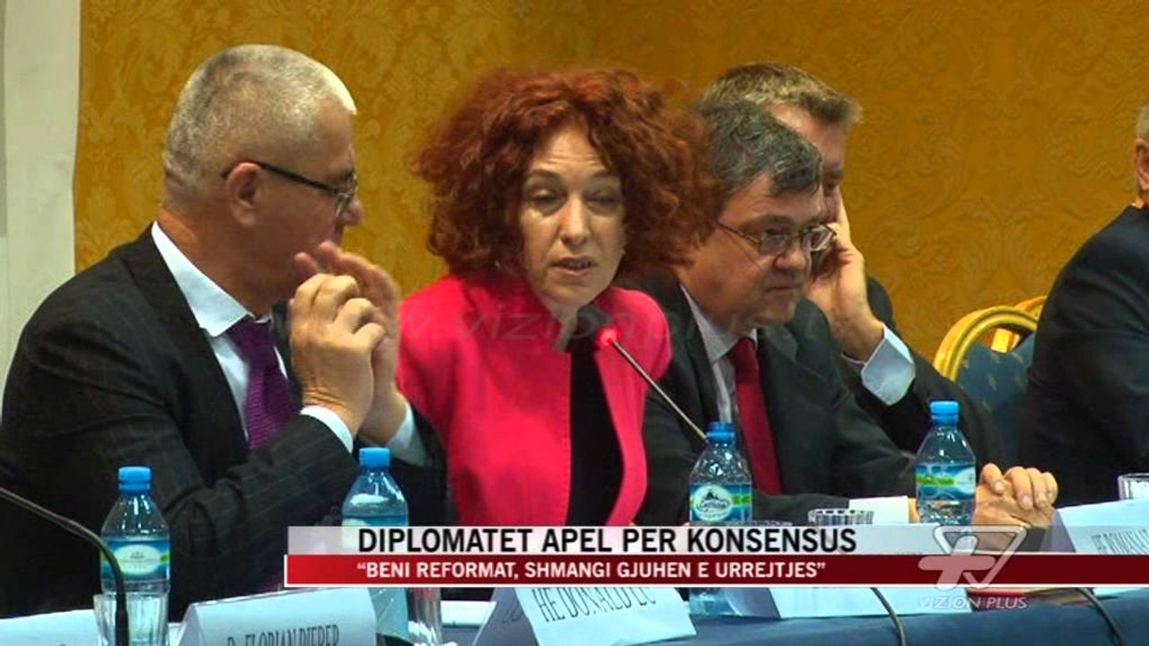 Diplomatët apel për konsensus - News, Lajme - Vizion Plus