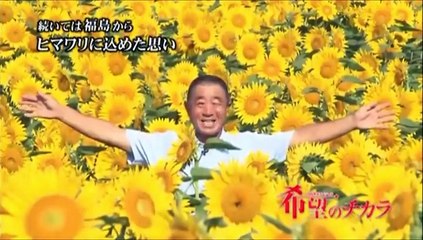 【福島ひまわり里親プロジェクト】プロジェクト概要 - 希望のチカラ