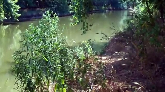 Fishing - Catching a Grass Carp