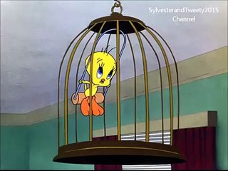 Sylvester and Tweety in ROOM AND BIRD Part 1