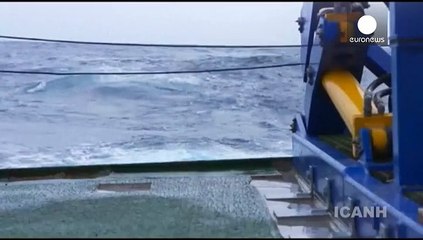 Колумбия нашла затонувшие сокровища на несколько миллиардов