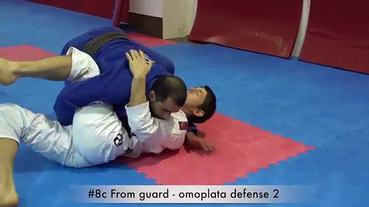 Ju Jitsu Brasiliano Teoria E Tecnica