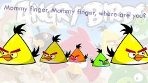 The Angry Birds Finger Family Song Daddy Finger Nursery Rhymes Blue Yellow White Birds Ful catoonTV!