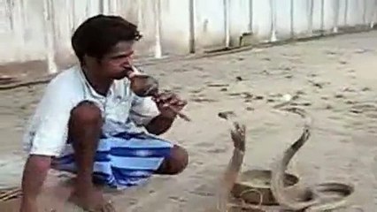 # Awesome - Keralite Snake Charmer