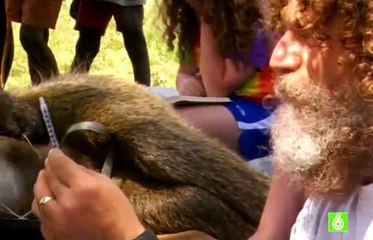 Estres el asesino silencioso