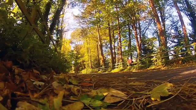 [Element Cams] - [GoPro with Sport] - Part 9: Skate board