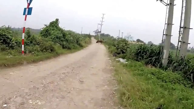 vietnam cycle tours, vietnam bike tour