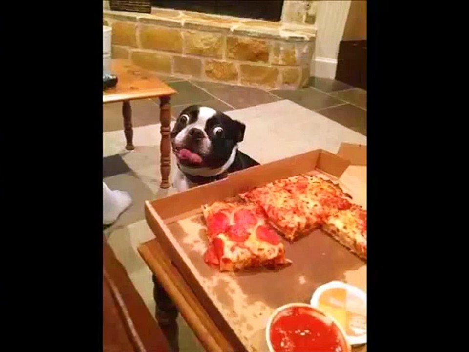Funny & Hot Video Clips 2015