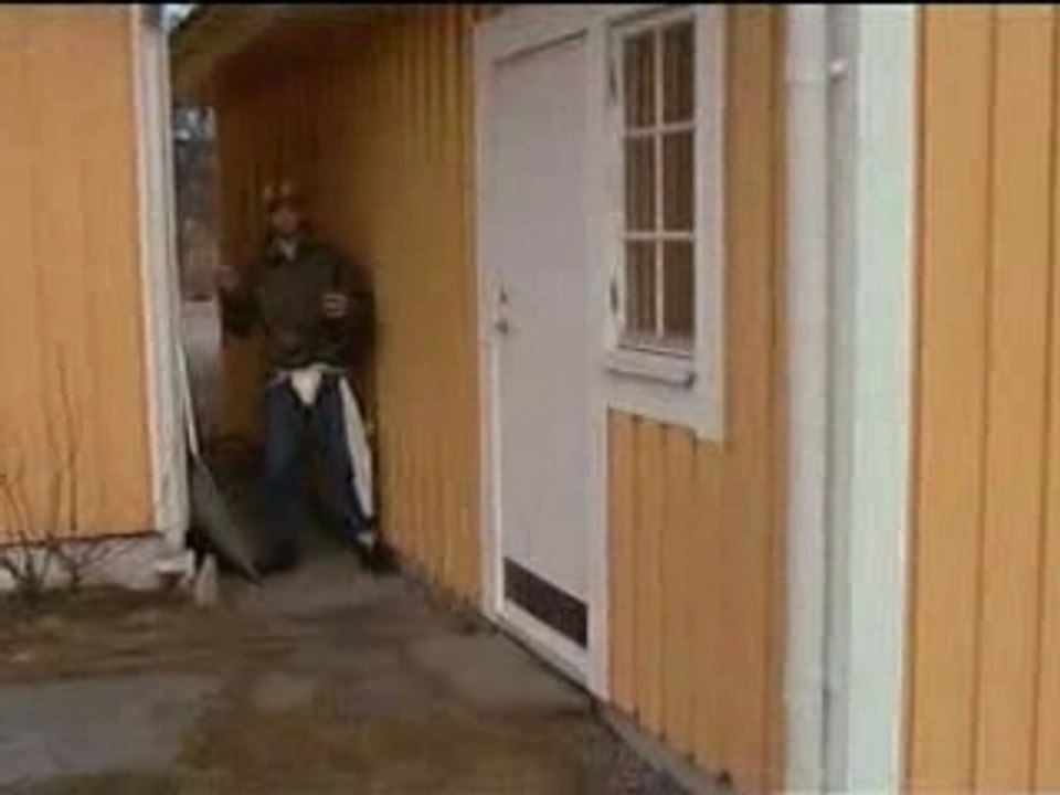 Counter strike infomania.fr