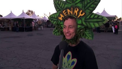 Pot Quiz Hempcon Edition