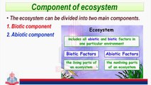 Components Of Ecosystem