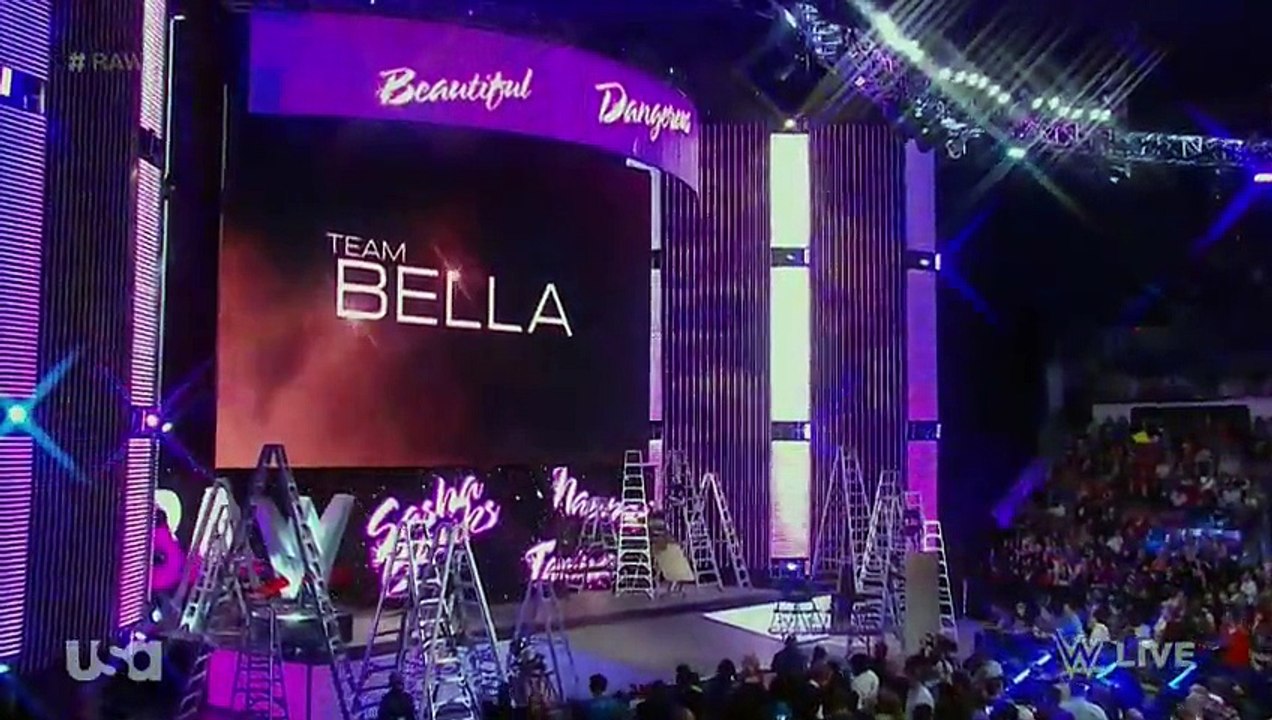 Sasha Banks & Naomi vs Brie Bella & Alicia Fox