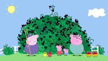 Prasátko Peppa Peppa Pig - The Blackberry Bush (Clip) george pig