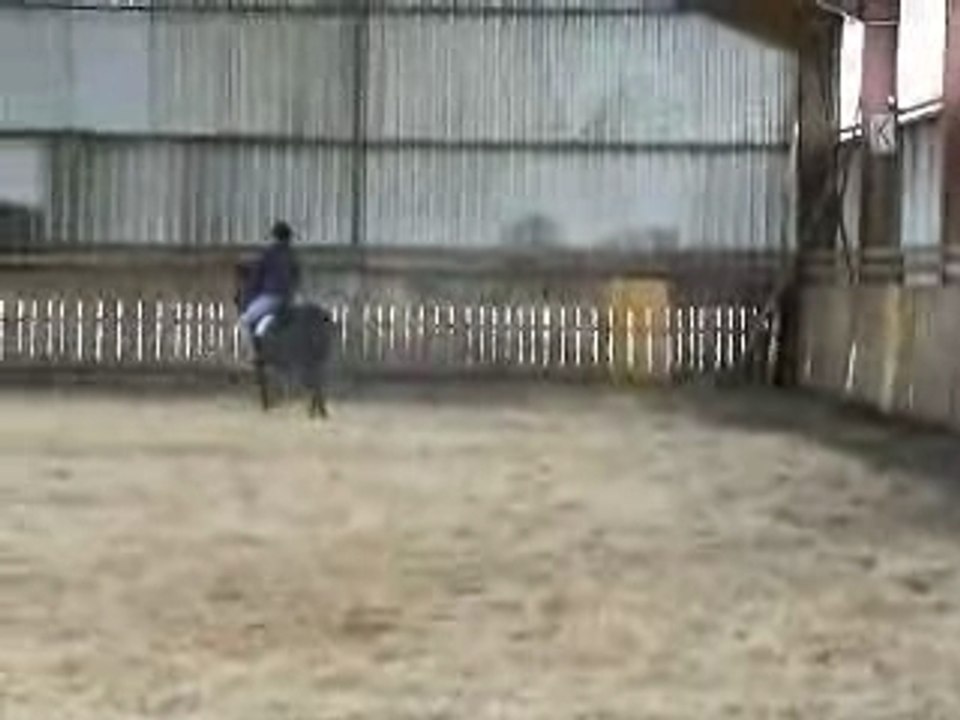 Chevaux