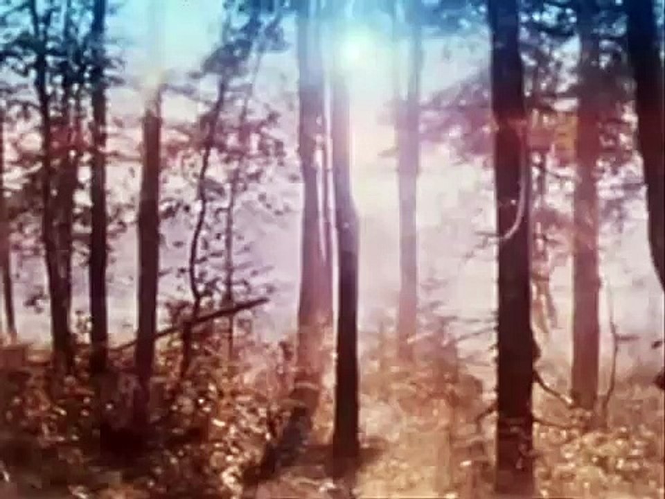 1975г. ВИА Песняры - Беловежская пуща