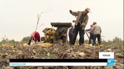 China's ever-expanding deserts
