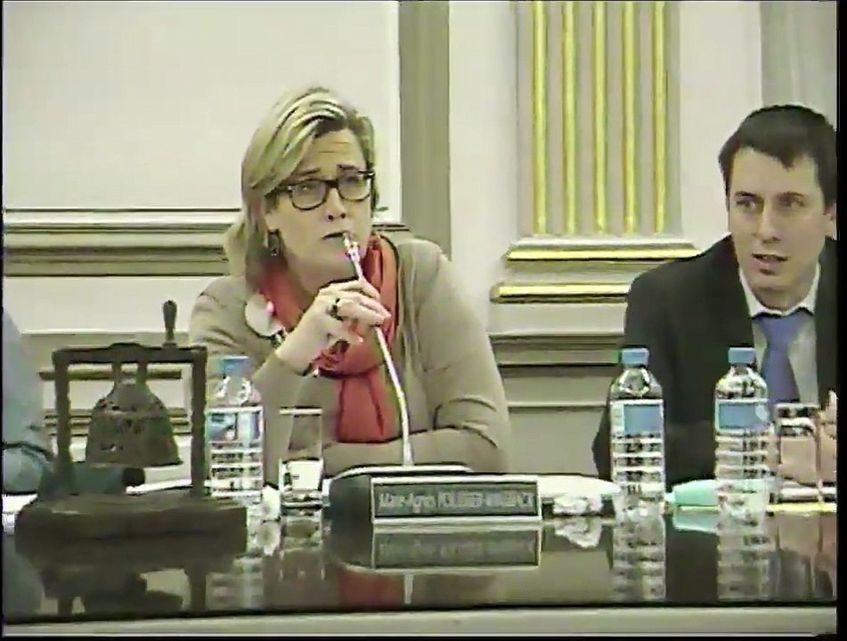 Conseil Municipal du 7 décembre 2015
