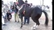 Harchahal Horse dancing maila sakrila sarai_Google Brothers Attock