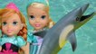 DOLPHINS ! ELSA, ANNA & their kids SWIM in the OCEAN and watch DOLPHINS!