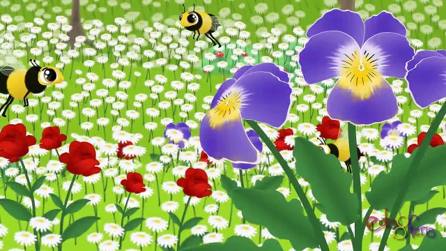 Çocuk Şarkıları | Edis ile Feris | Çocuk Şarkıları 2015