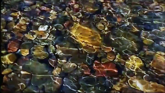 A Public service message by ‪NewsONE‬, Hisaar Foundation