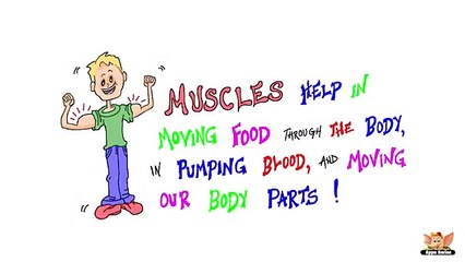 Number Song  1-10 - Number Learning For Children Months of the Year Train (January,February.....