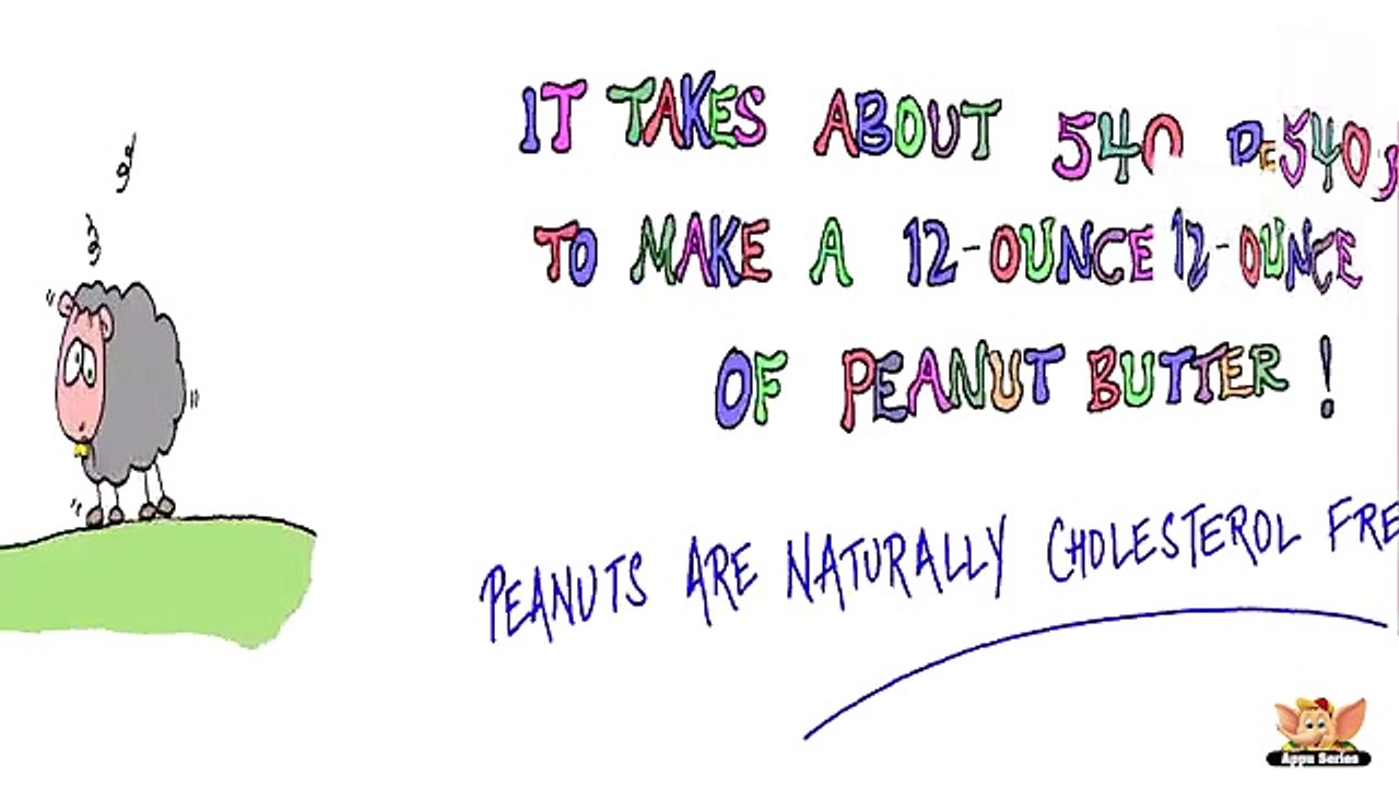 Fun Facts About Plants