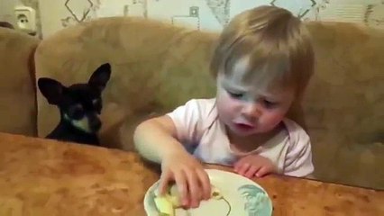 Pasta para dois. Cão e menina que come a massa