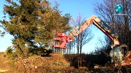 Agri 2000 : un modèle d'utilisation des déchets pour produire propre