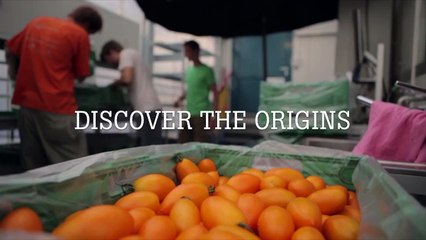 CONNECTING COMMUNITY_FINAL