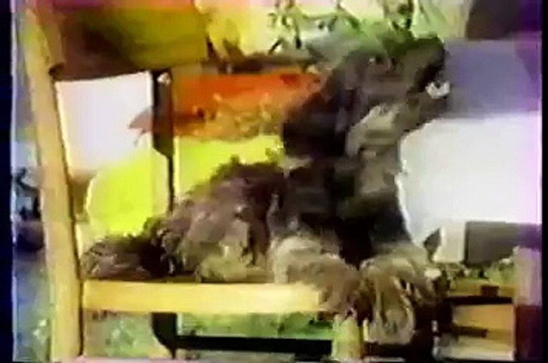 David Lynch - Barilla commercial