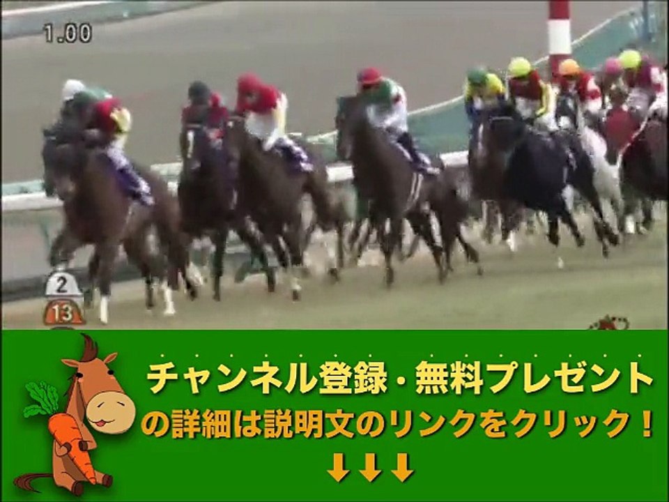 有馬記念（GI） 2014年 「競馬レース結果ハイライト」