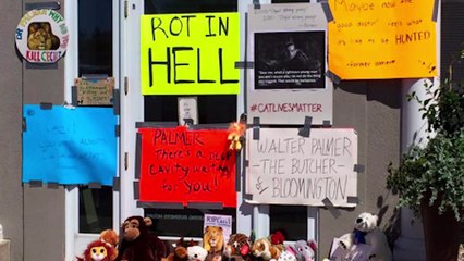 Why Douches Kill Lions