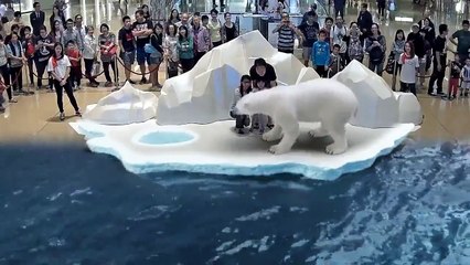 Japonya 7D teknolojisi