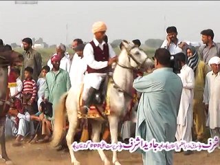 Hassal Sharif NaizaBazi Urs Mubarikh 2015 , DVD 1/4 (Clip 3/4)