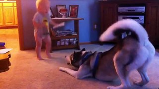 Baby and Husky have deep conversation