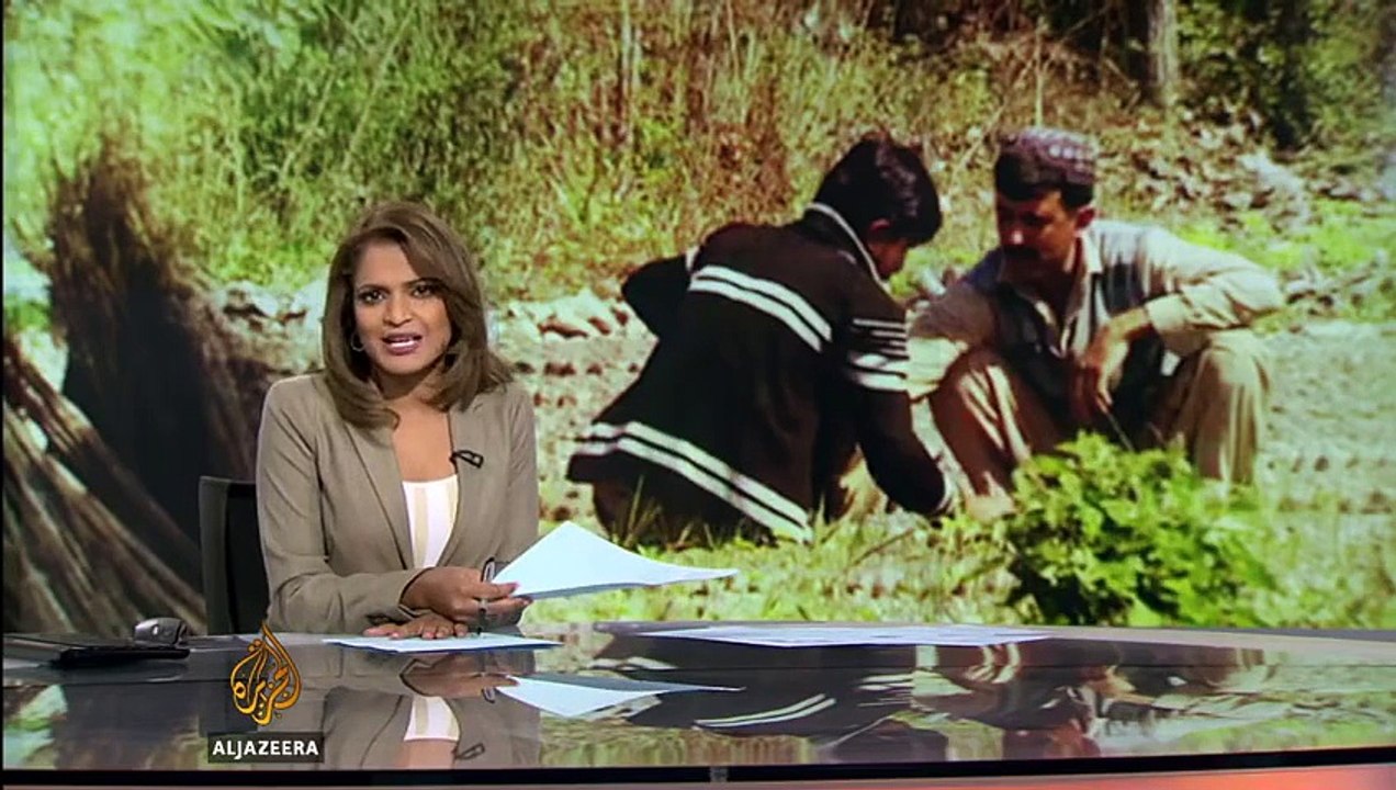 Al-Jazeera Report On KPK Tree Project