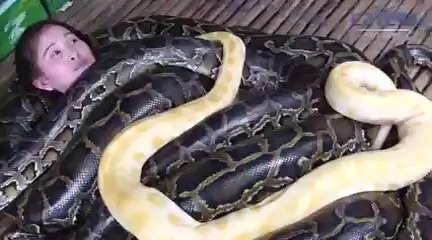 sleeping with the snakes