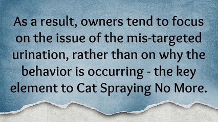 Cats Spraying No More