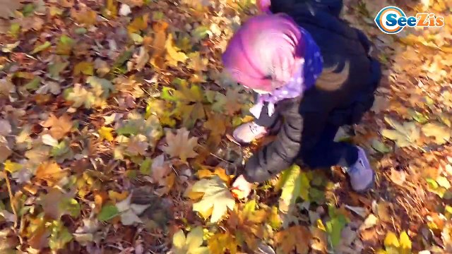 ✔ ДигиБердс и девочка Маша прогулка в лесу -Видео для детей- DigiBirds with Masha - Toys for kids ✔