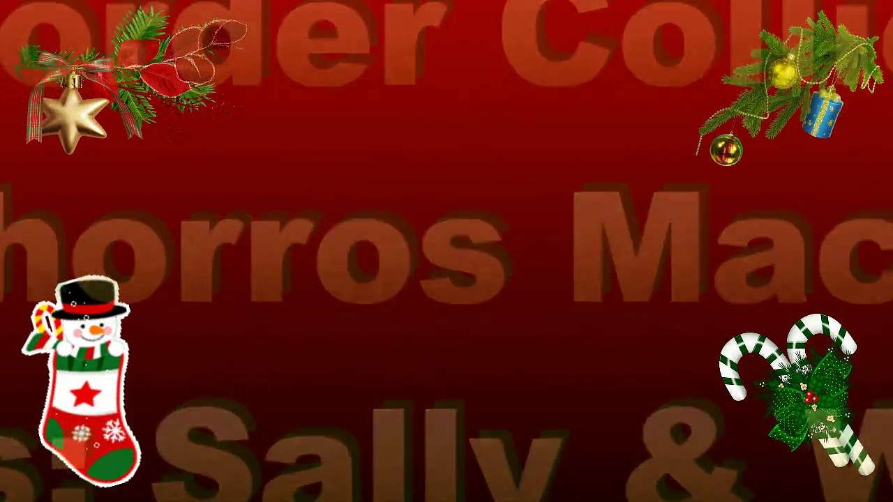 Cachorros - Machos Sally  & Wind 2015