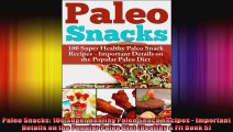 Paleo Snacks 100 Super Healthy Paleo Snack Recipes  Important Details on the Popular