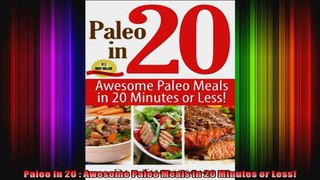 Paleo In 20  Awesome Paleo Meals In 20 Minutes or Less